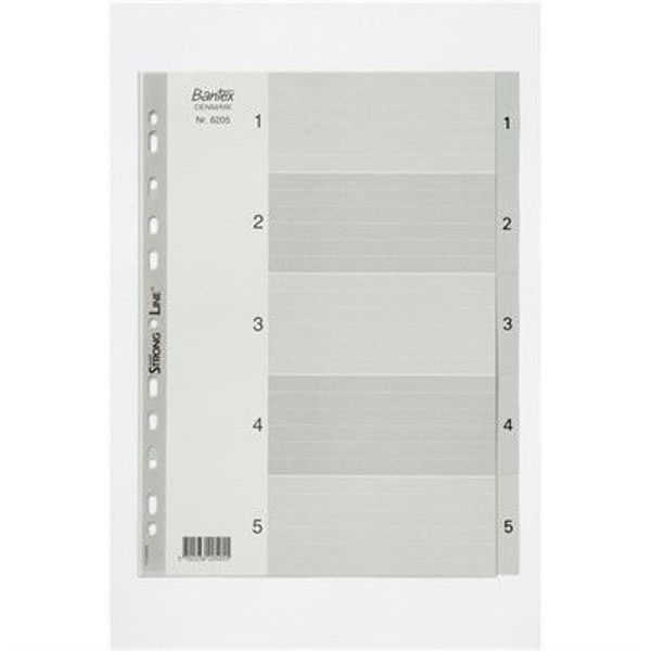 Picture of BANTEX PP INDEX 1-5 A4  GREY