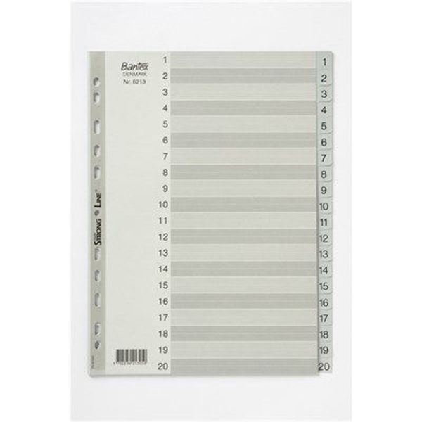 Picture of BANTEX PP INDEX 1-20 A4  GREY