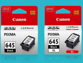 Picture for category Ink Cartridges